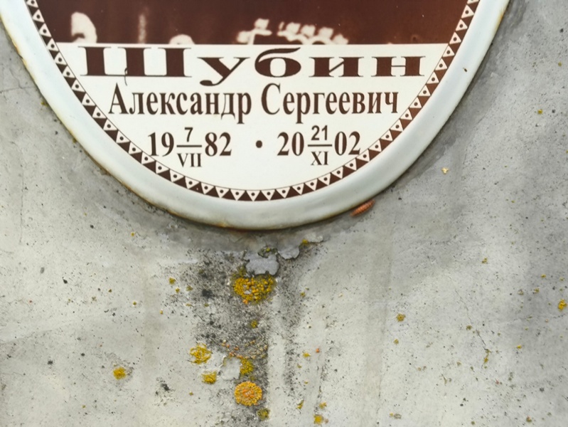 Шубин