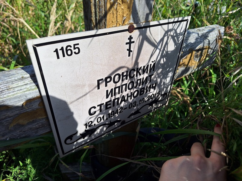 Ипполит Гронский Степанович