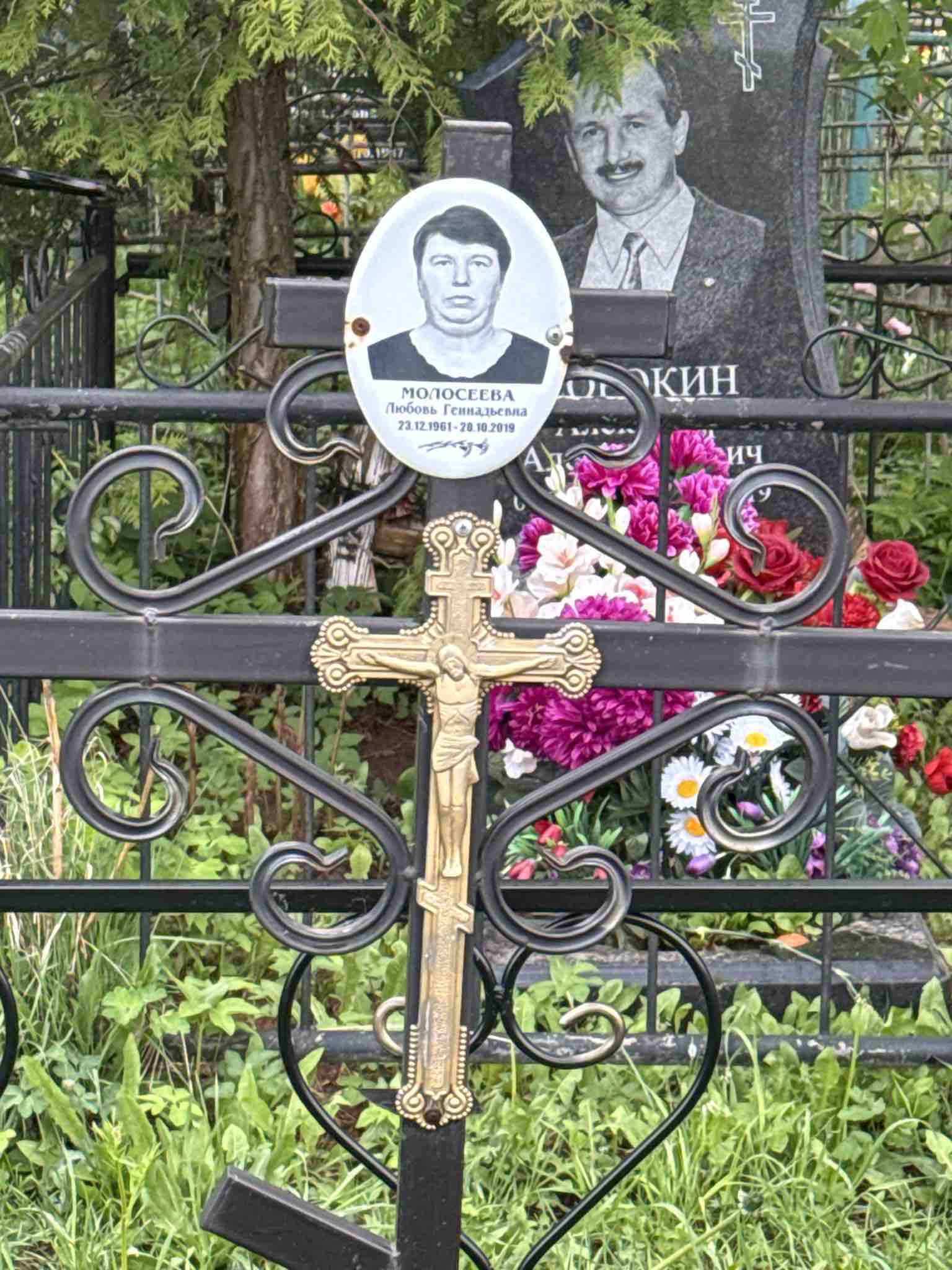 Молосеева Любовь Геннадьевна