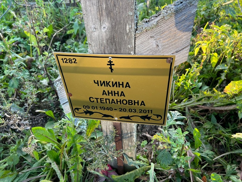 Чикина