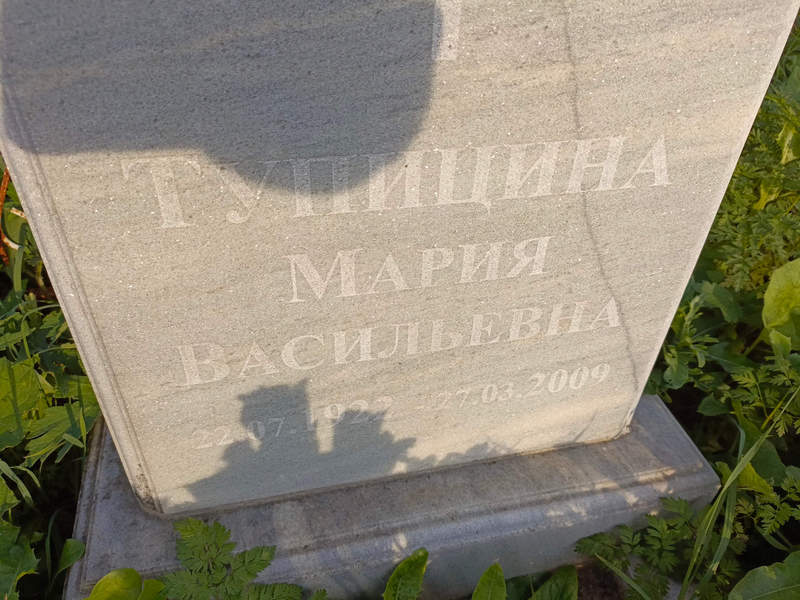 Тупицина