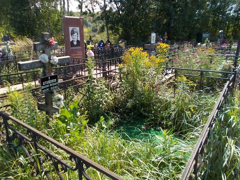 Агафонов Николай Петрович
