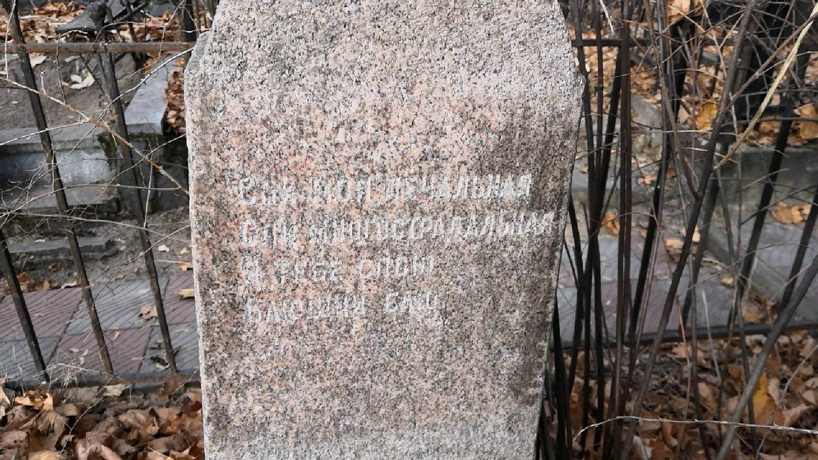 Ганджецян Саломея Михайловна