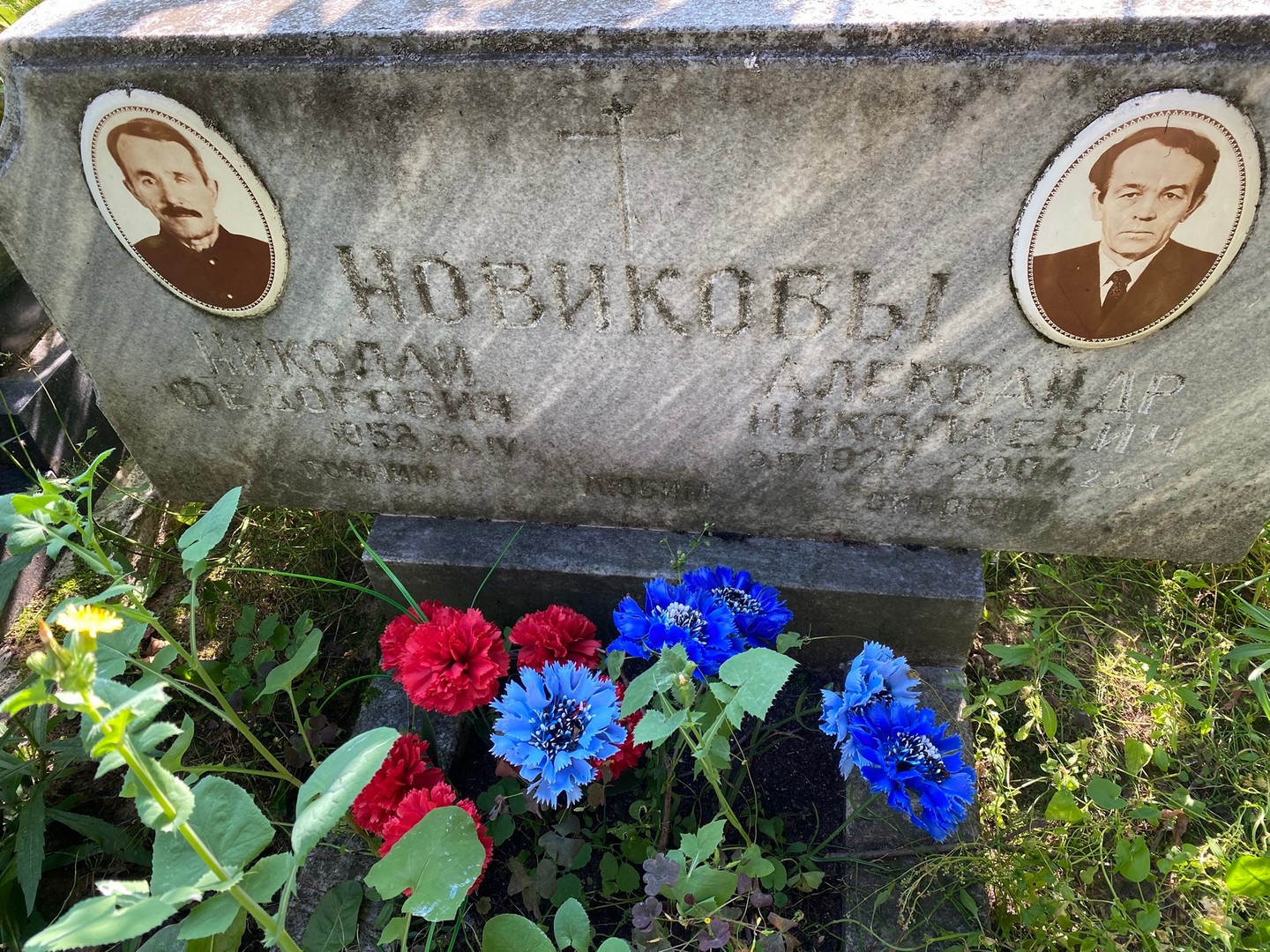 Новиков