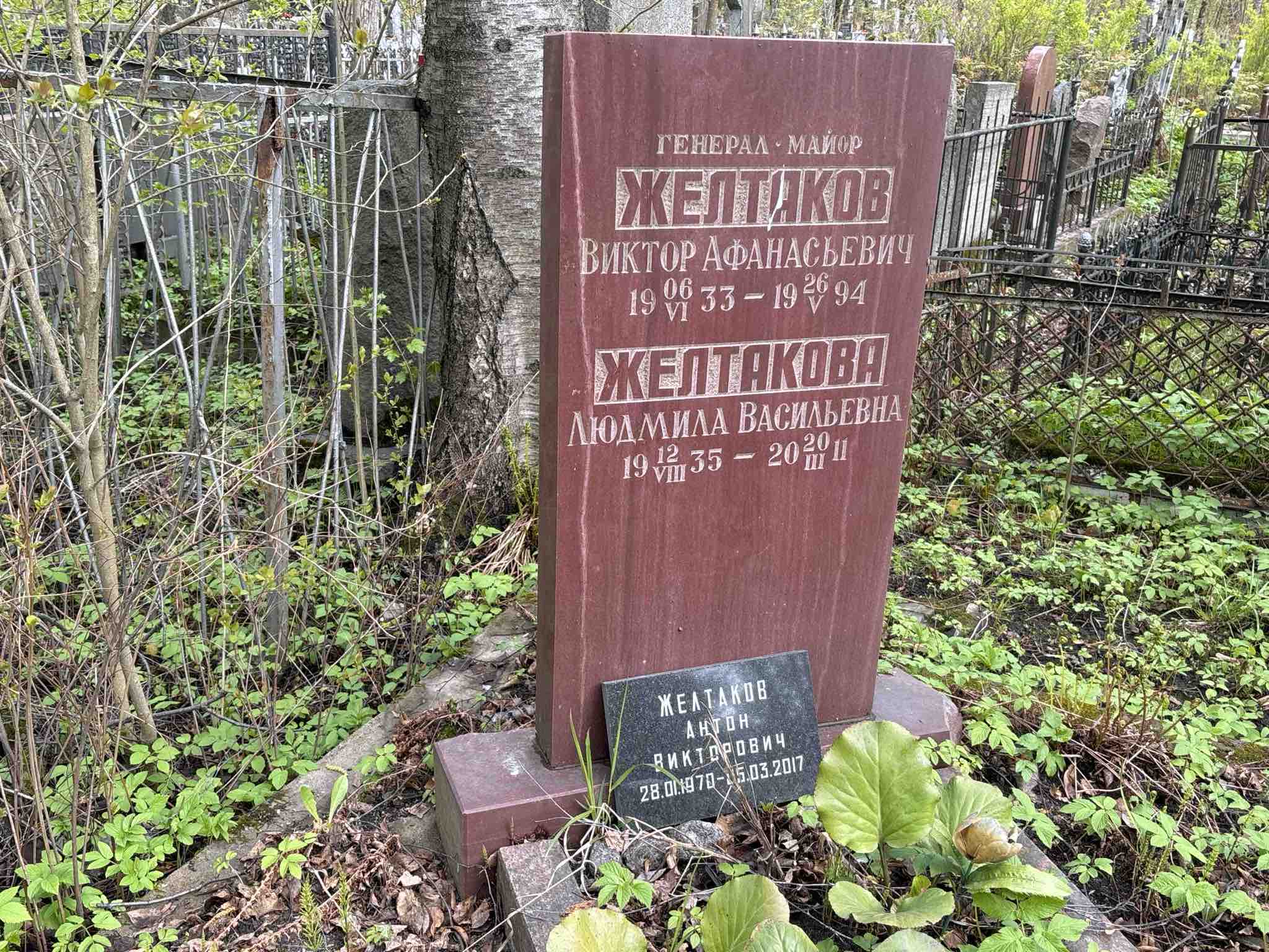 Желтаков Антон Викторович