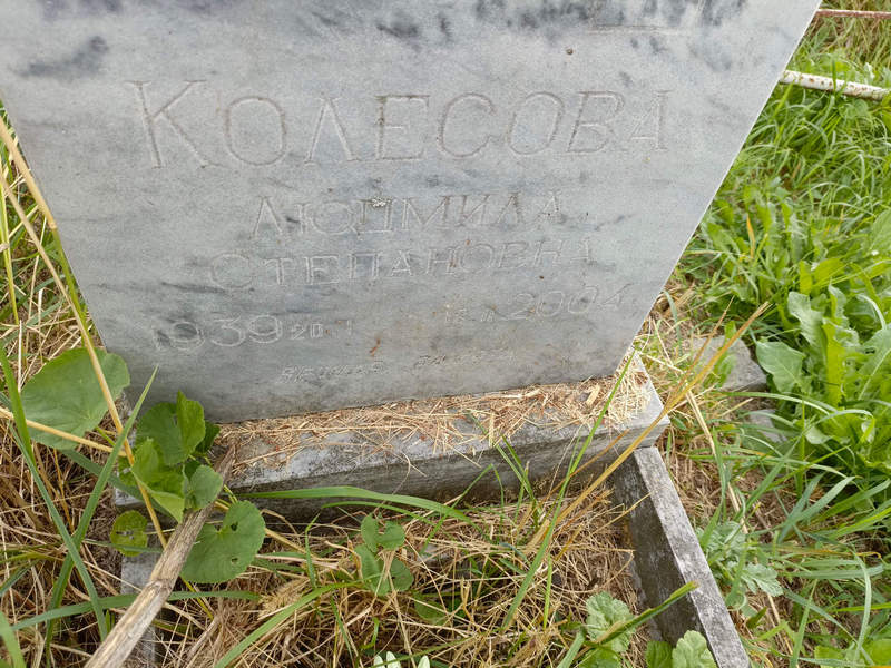 Колесова