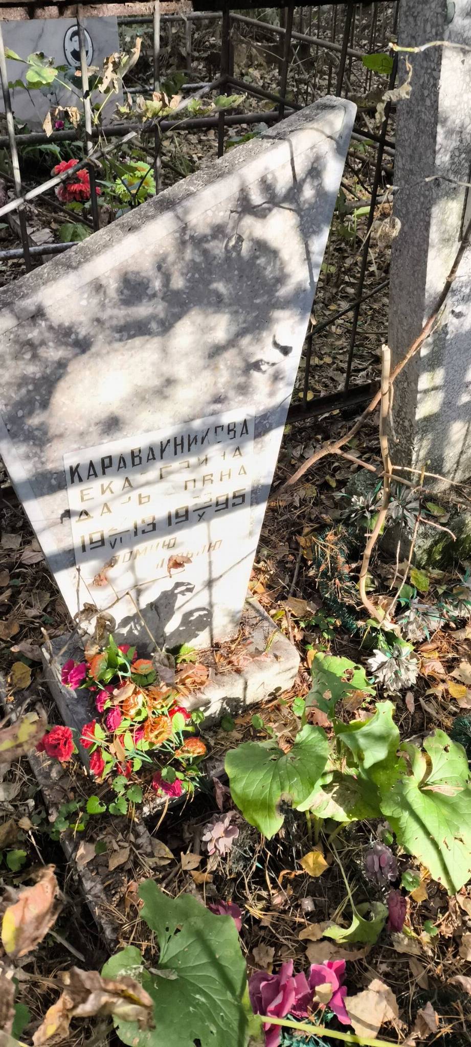 Каравайникова Екатерина Давыдовна