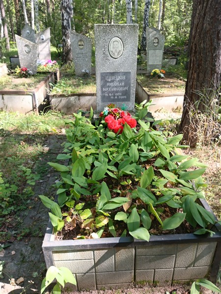 Швецов Николай Михайлович
