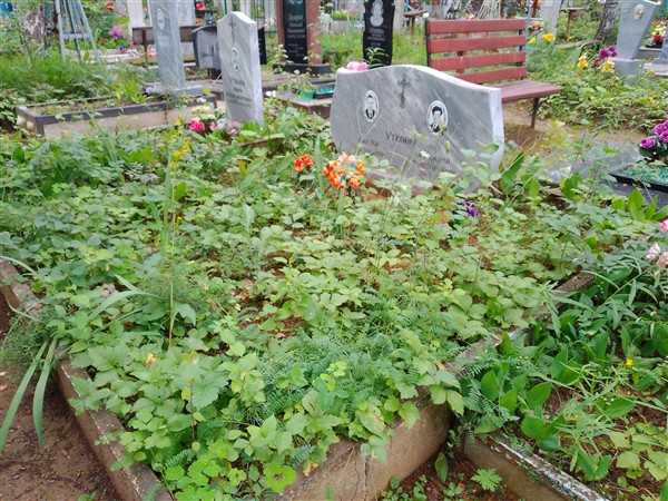 Уткова Анна Александровна