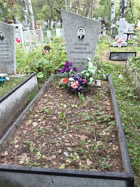 Воробьев Николай Александрович