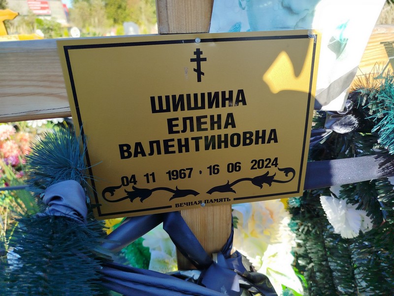 Шишина