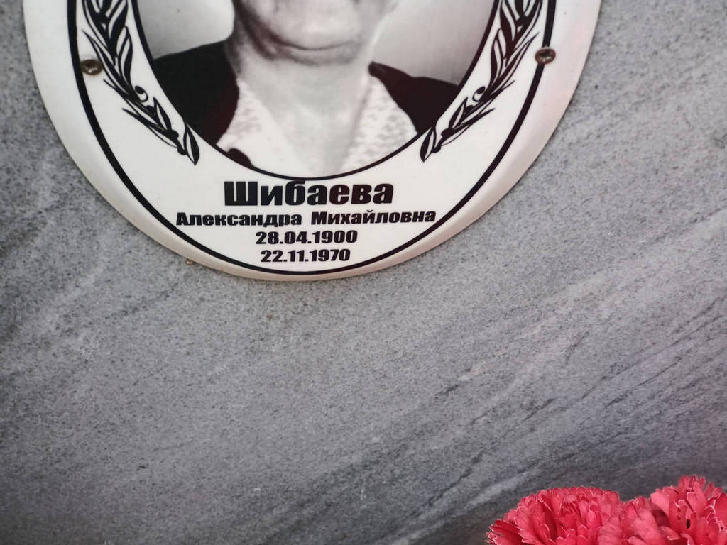 Шибаева Александра Михайловна