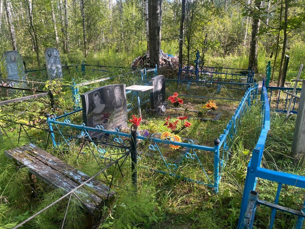 Лисин Николай Дмитриевич