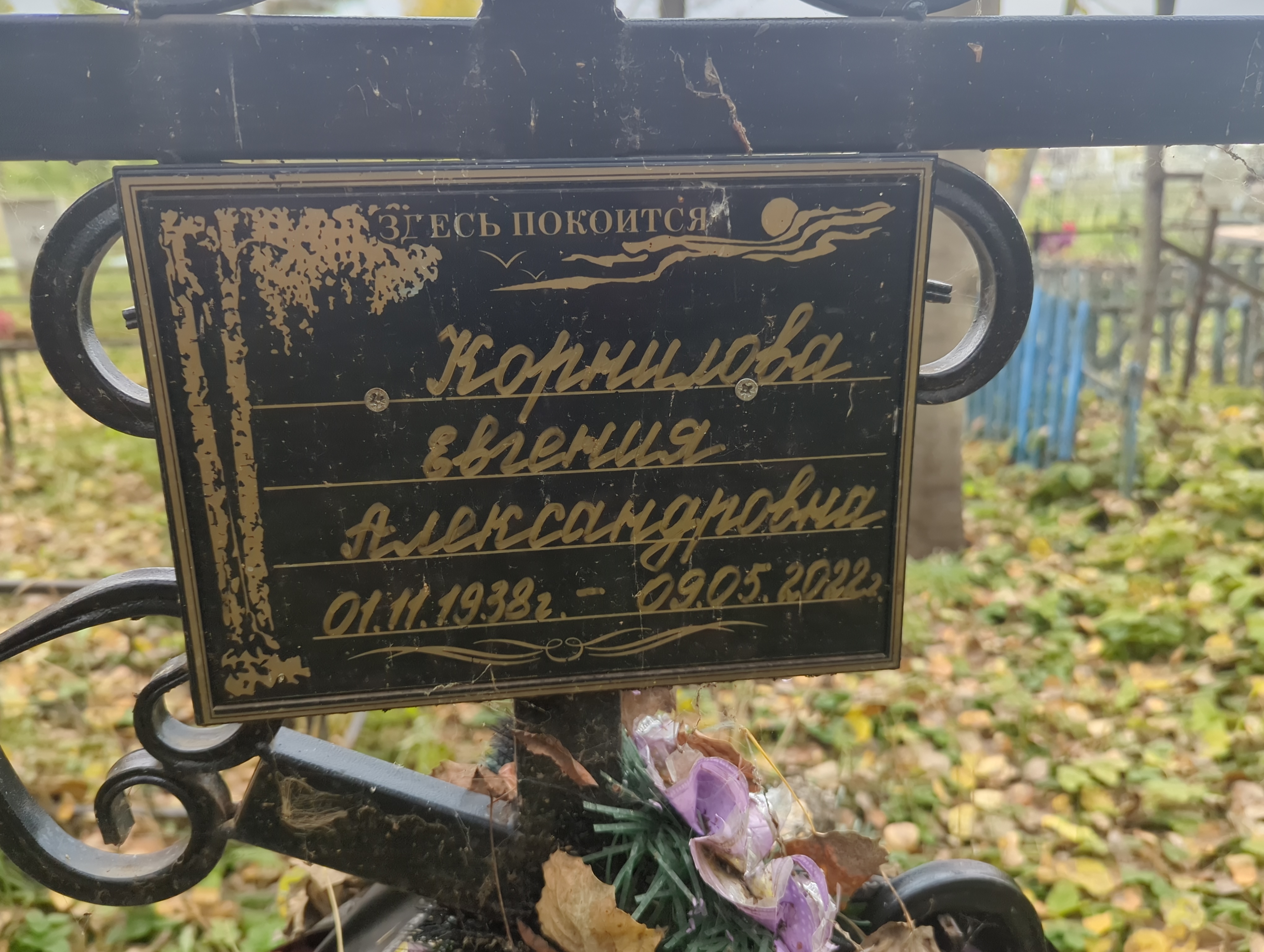 Корнилова Евгения Александровна