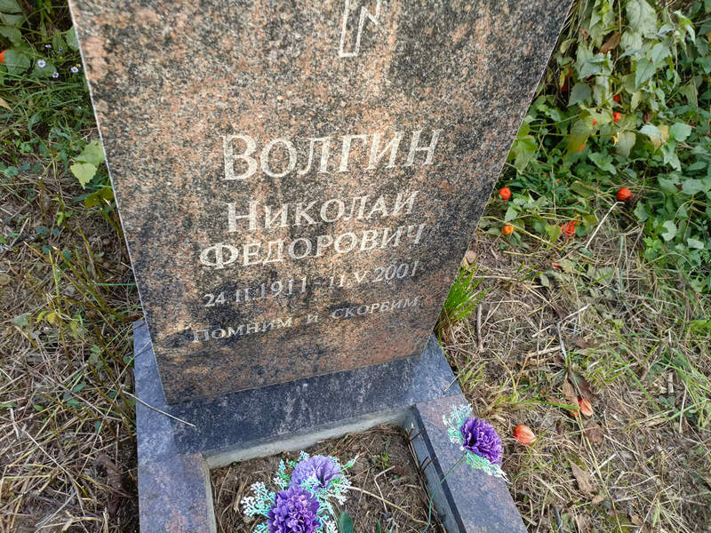 Волгин
