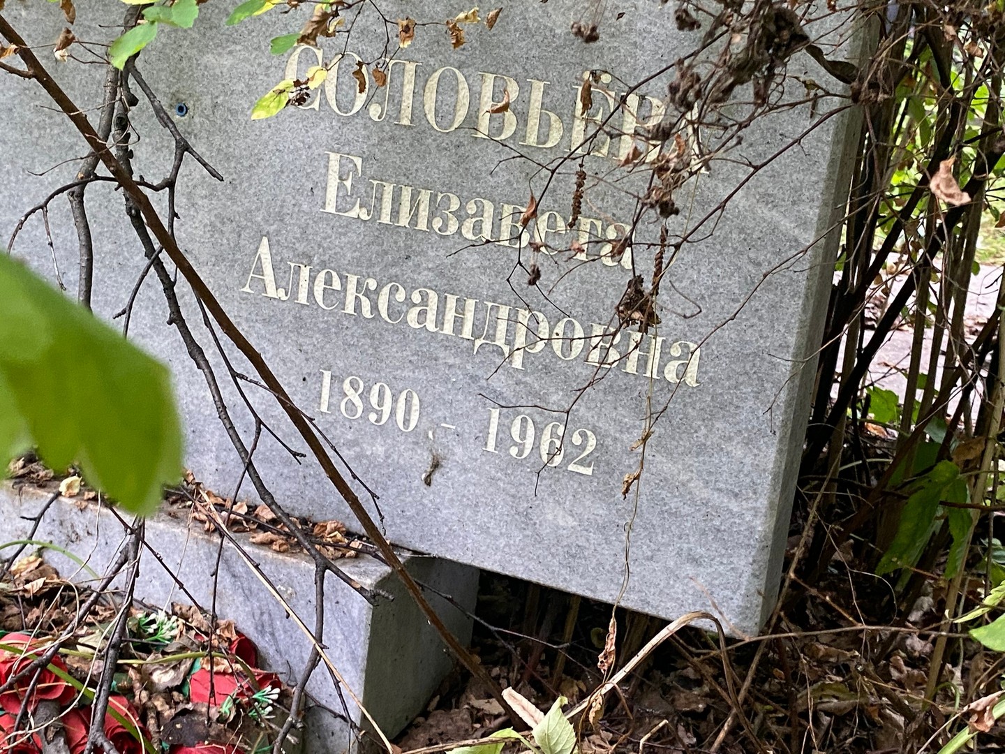 Соловьева