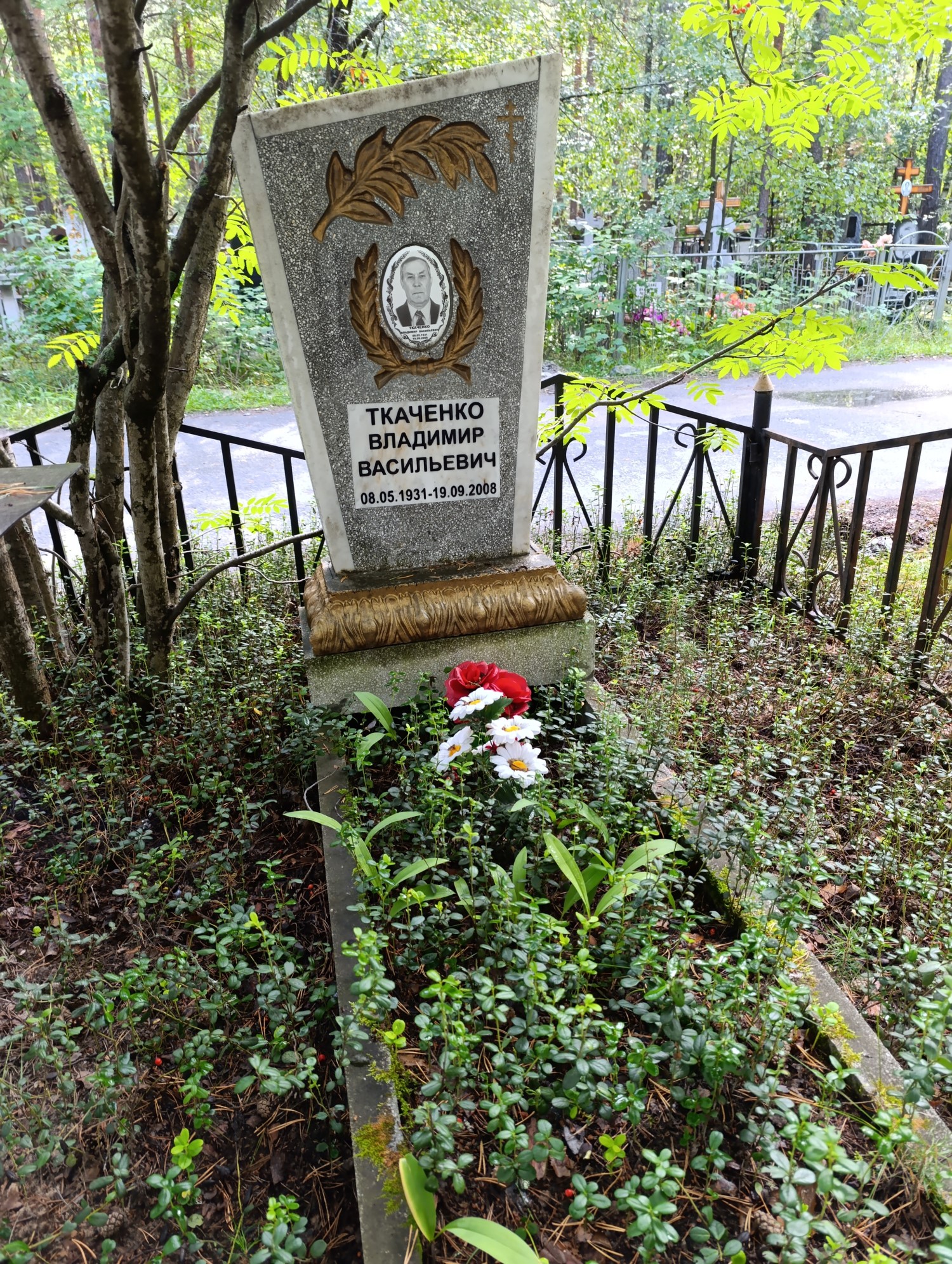 Ткаченко Владимир Васильевич