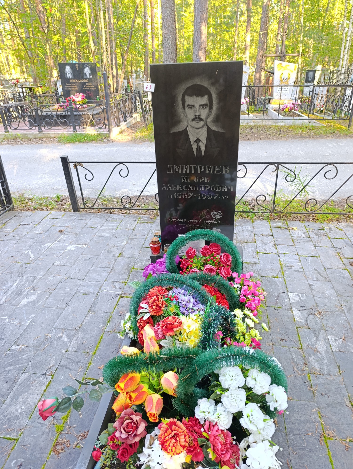 Дмитриев Игорь Александрович