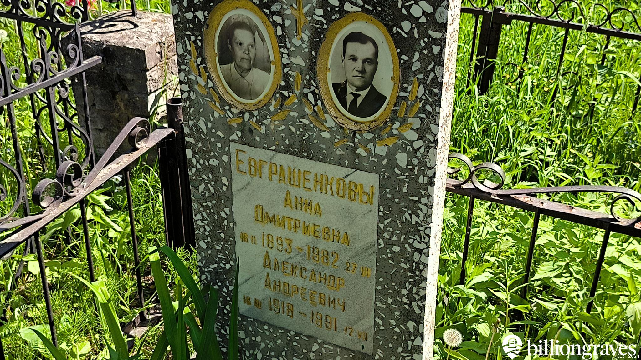 Евграшенкова Анна Дмитриевна
