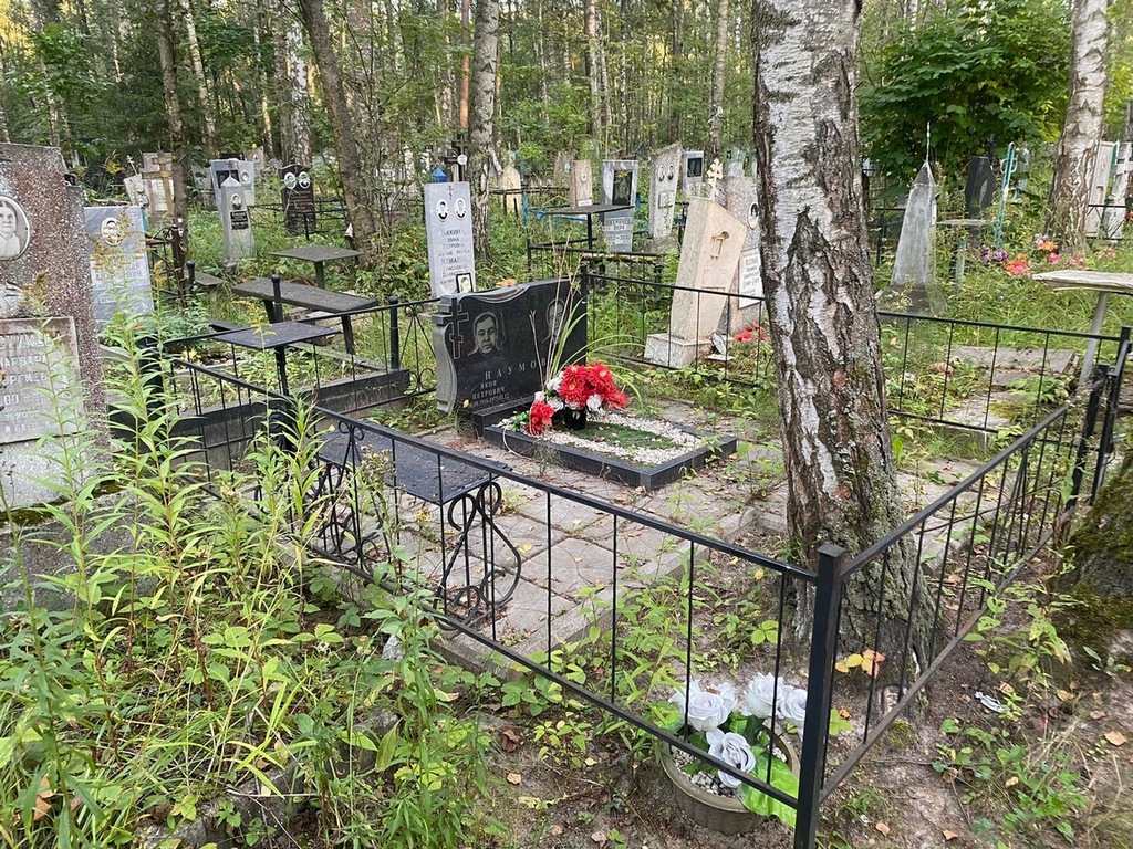 Наумов Александр Яковлевич