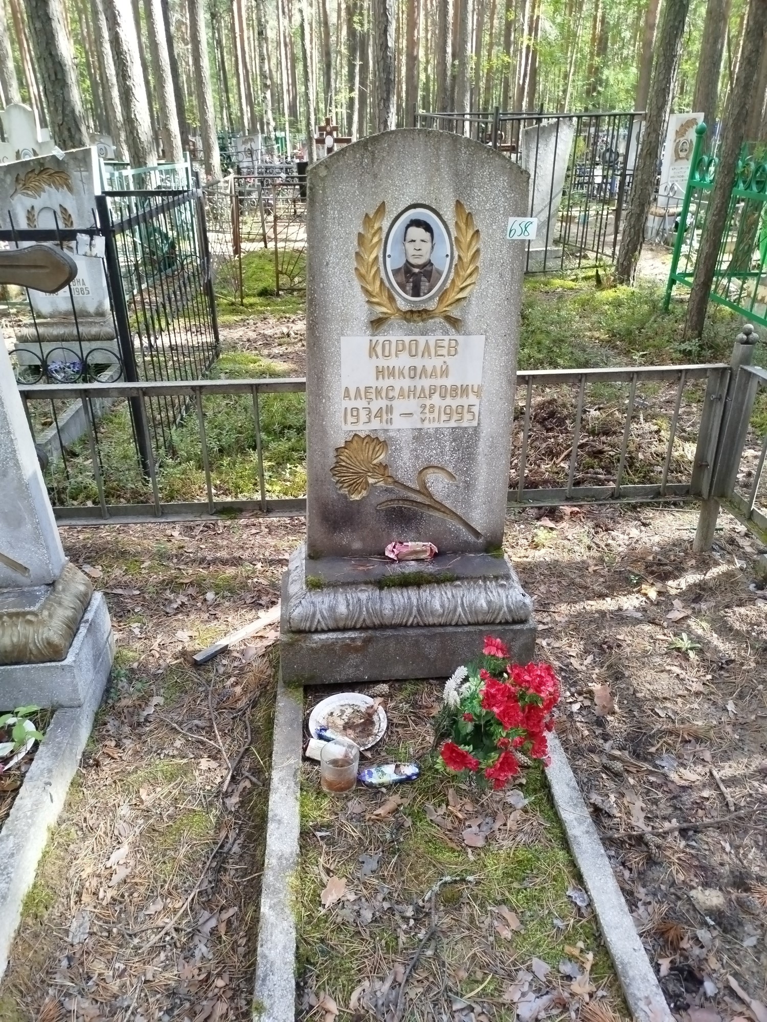 Королев Николай Александрович