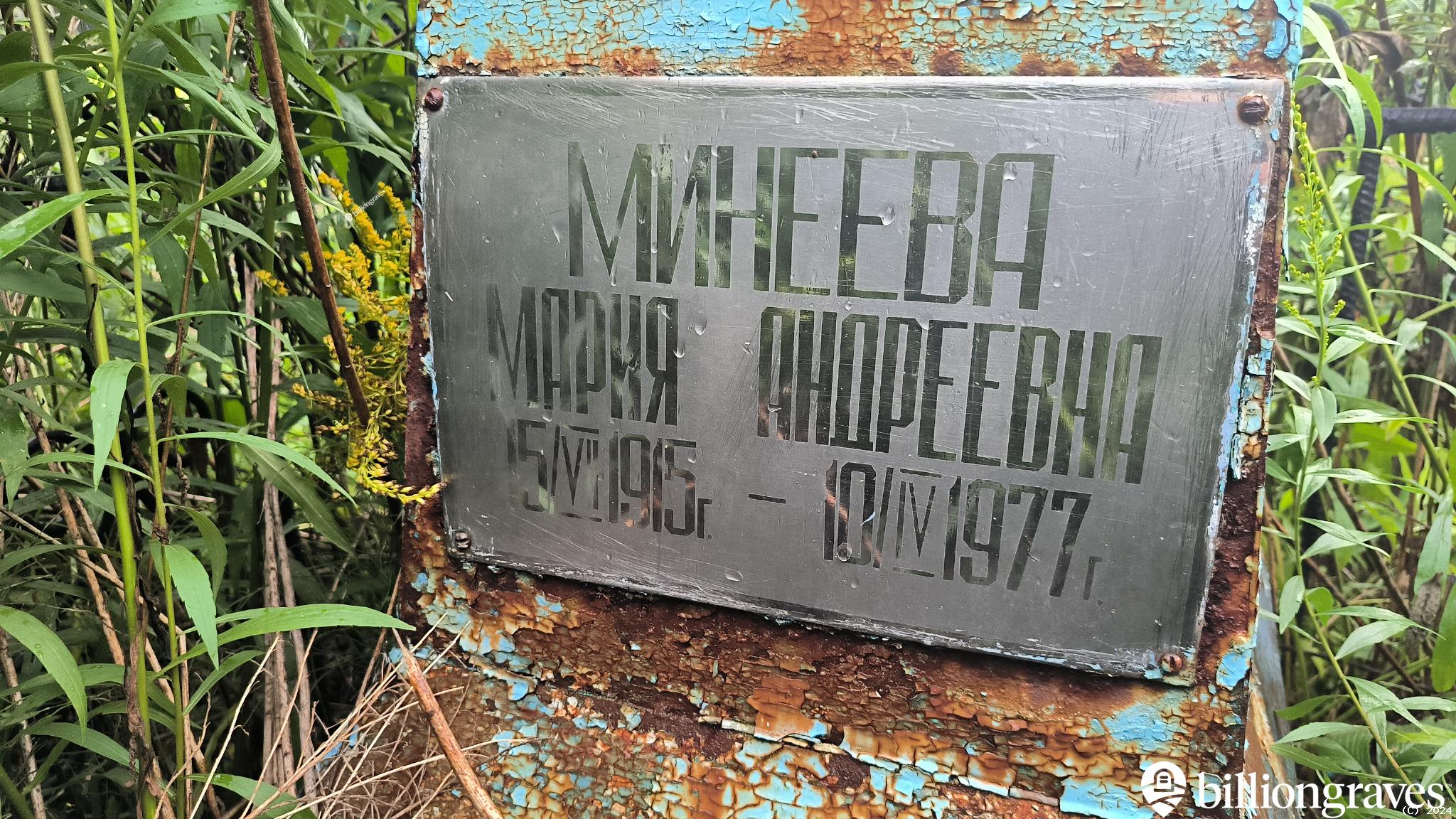 Минеева Мария Андреевна