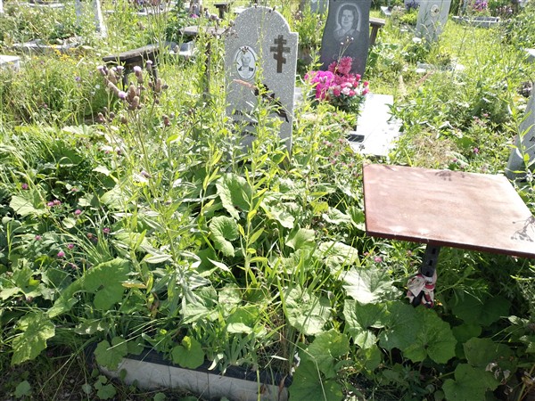 Антонов Генрих Антонович