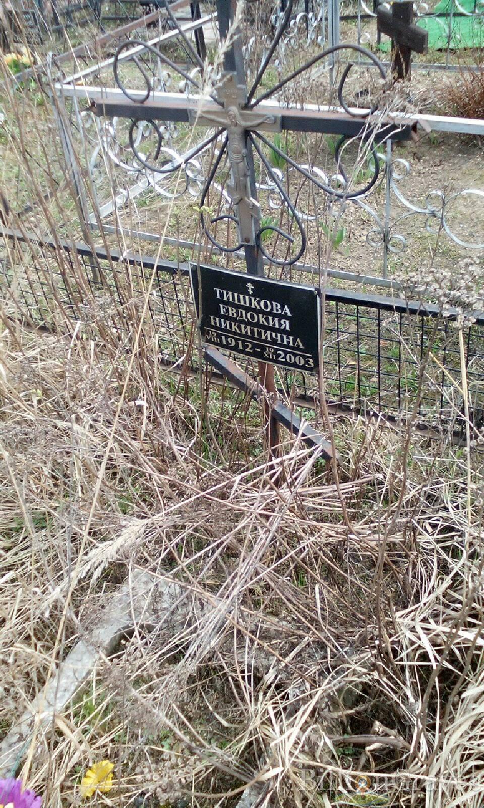 тишкова евдокия никитична
