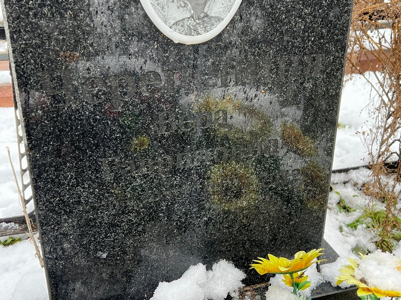 Черепенина