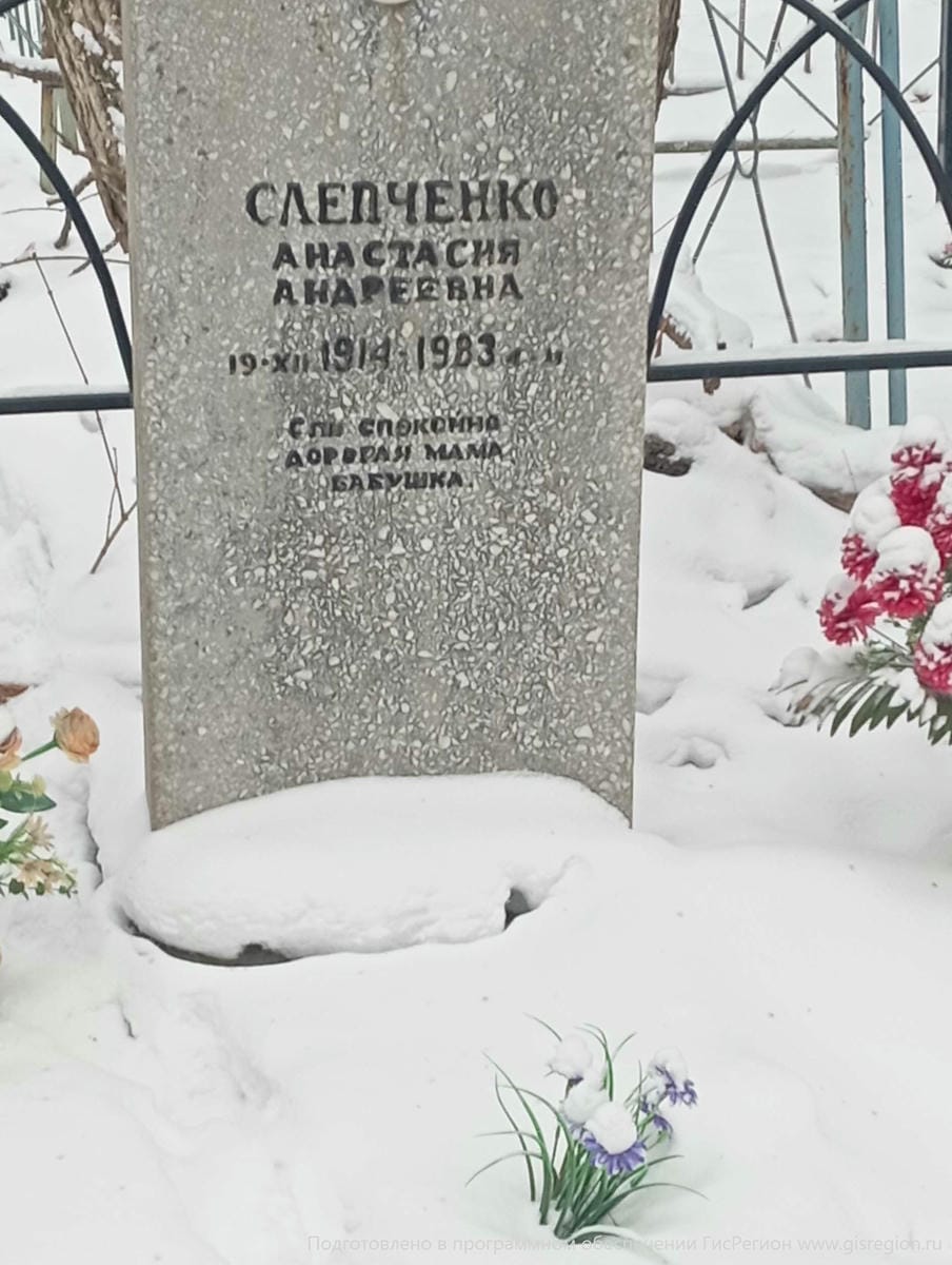 Слепченко Анастасия Андреевна