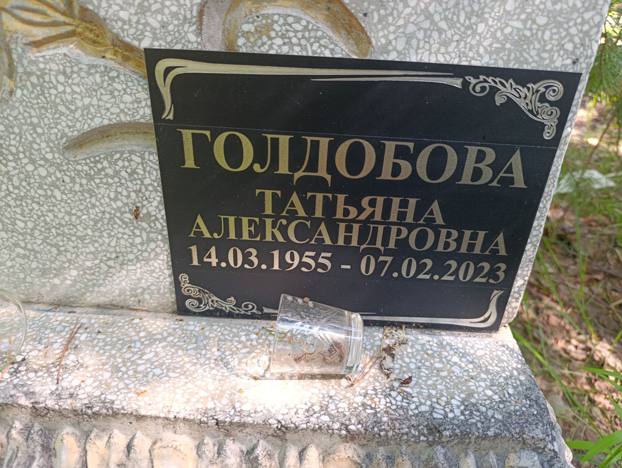 Голдобова Татьяна Александровна