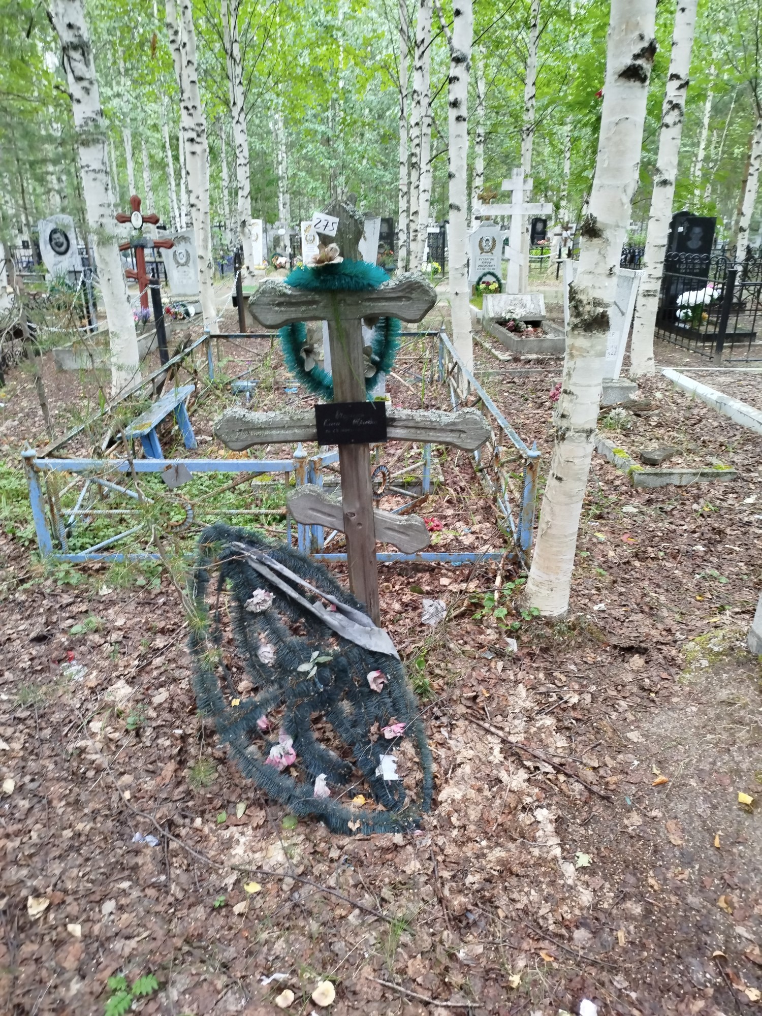 Казакова Ольга Юрьевна