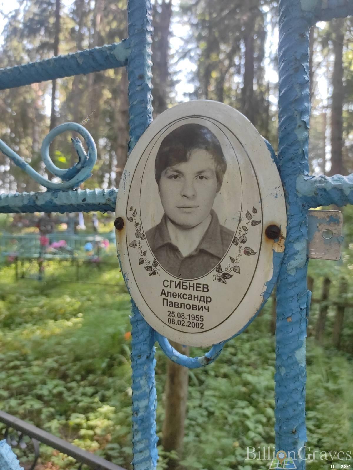 Сгибнев Александр Павлович