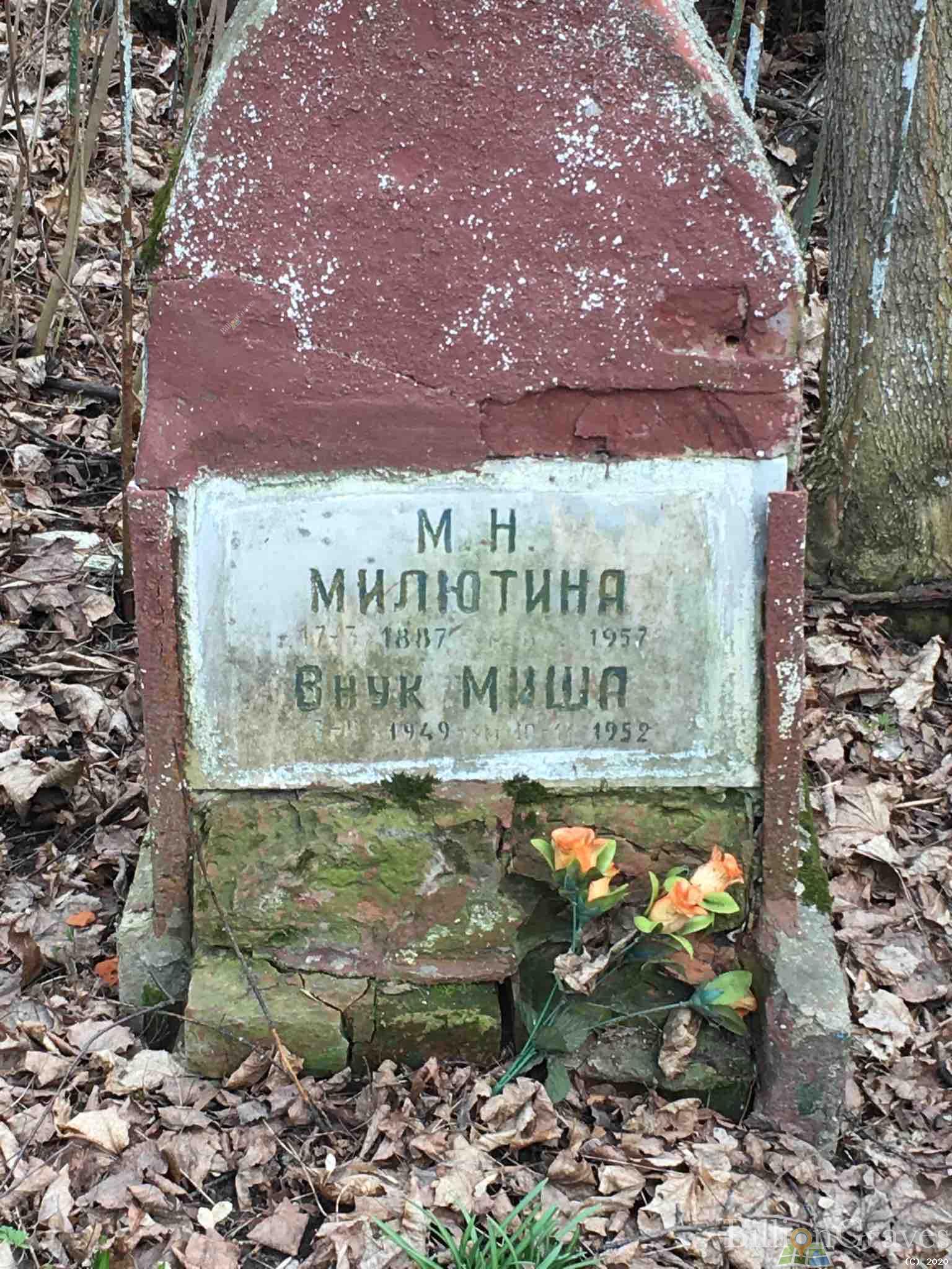 Милютина М.н.