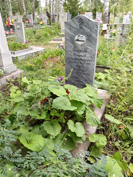 Бакин Николай Константинович