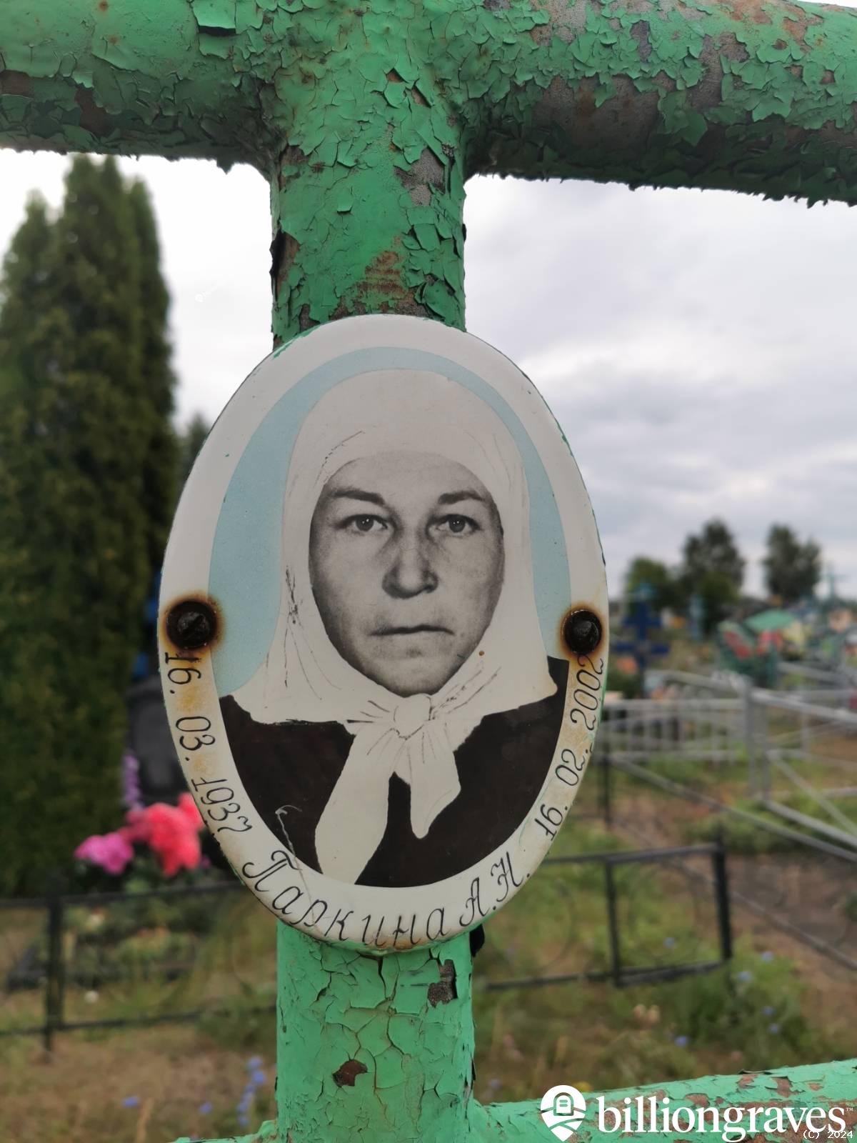 Паркина А. Н.