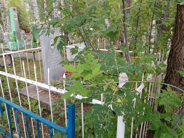 Хазов Семен Алексеевич