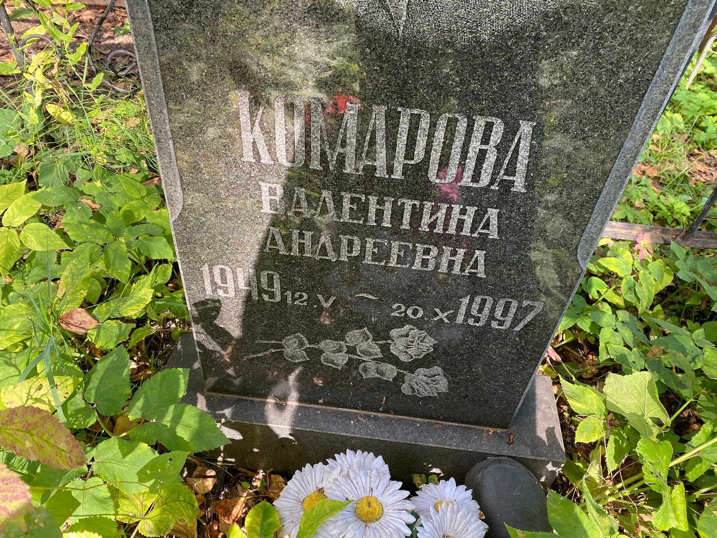 Комарова