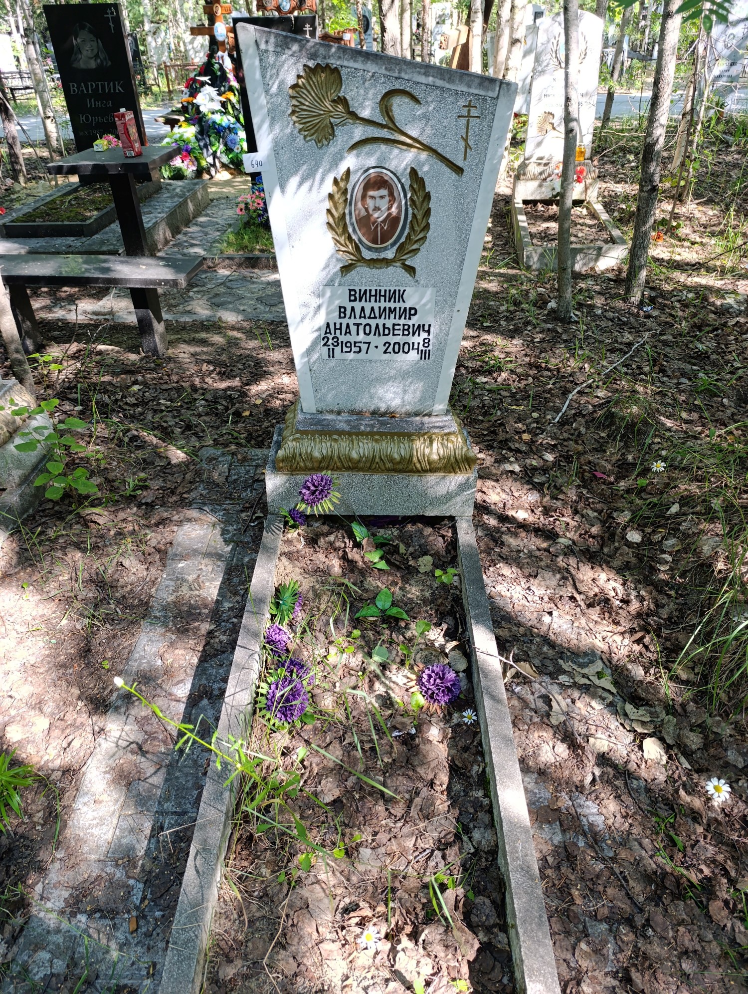 Винник Владимир Анатольевич