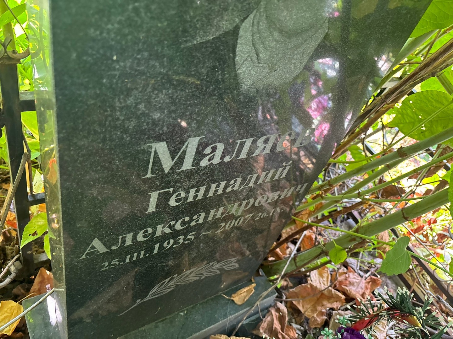 Маляев