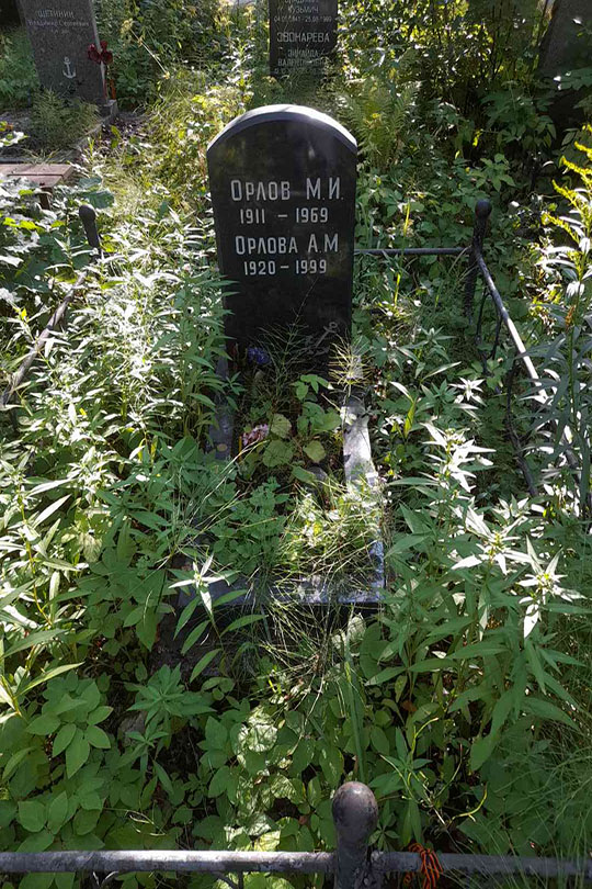 Орлова А. М.