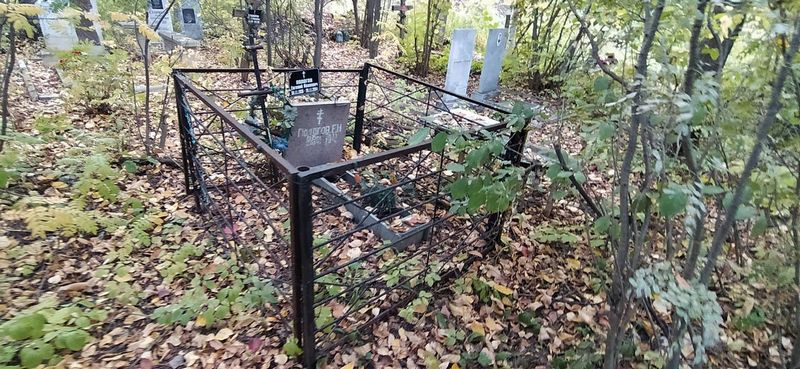 Пологов Евгений Иванович