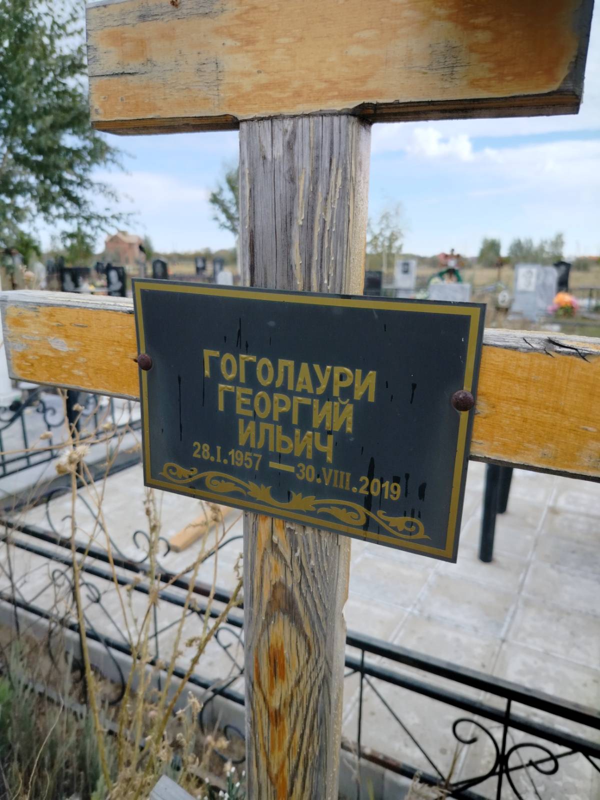 Гоголаури Георгий Ильич