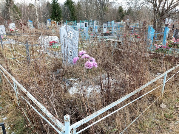 Махнутина Елена Дмитриевна