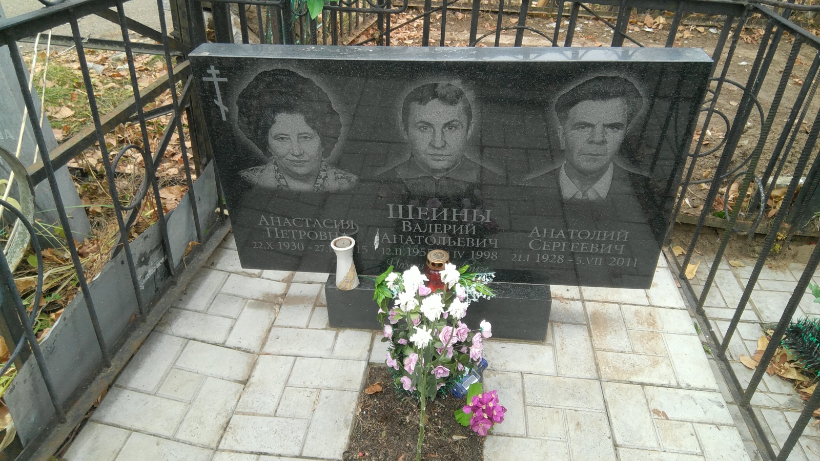 Шеина Анастасия Петровна