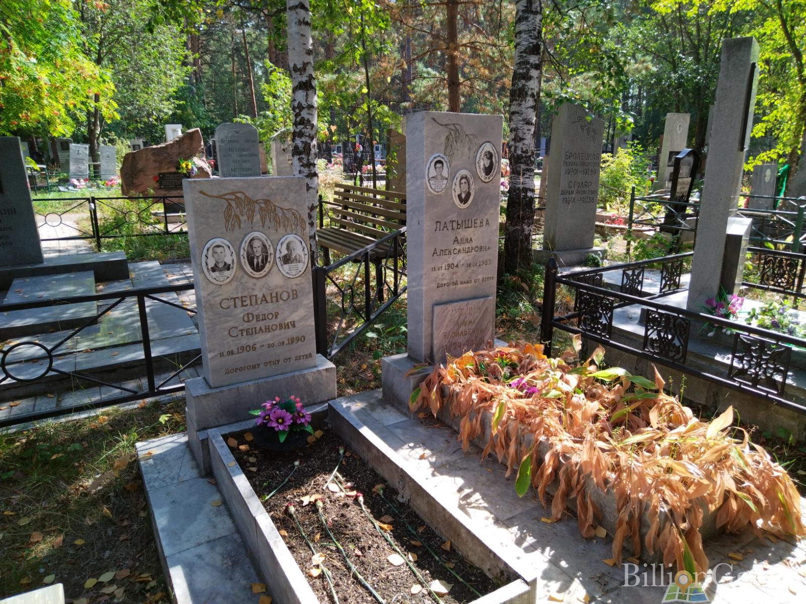 Латышева Анна Александровна