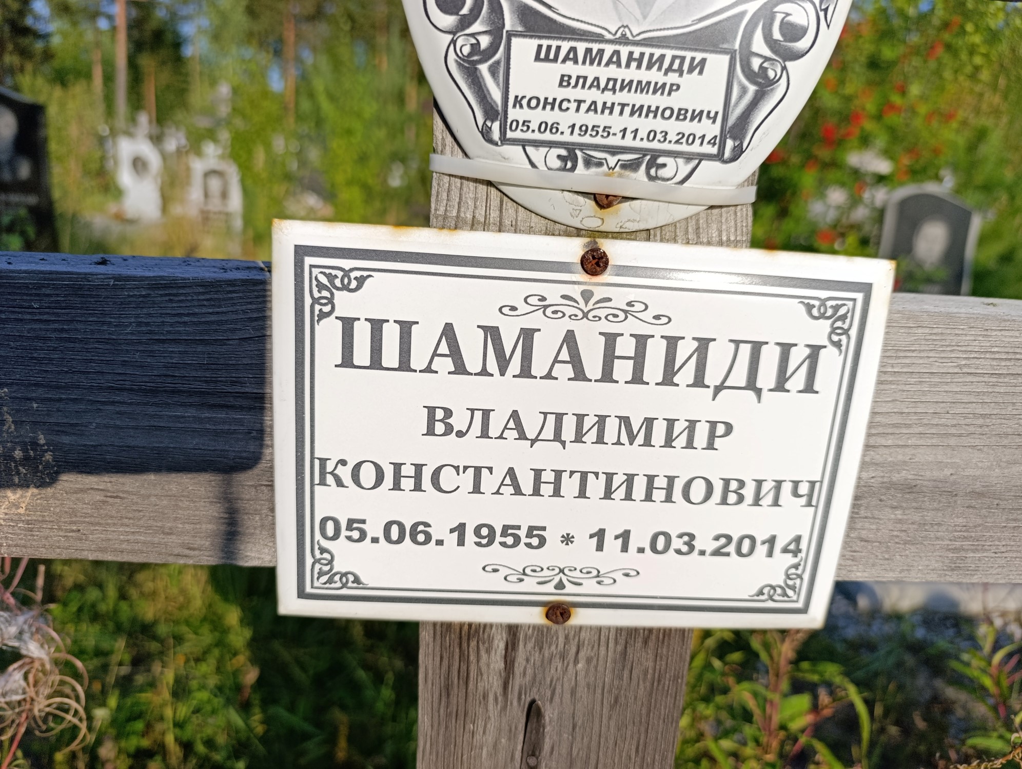 Шаманиди Владимир Константинович