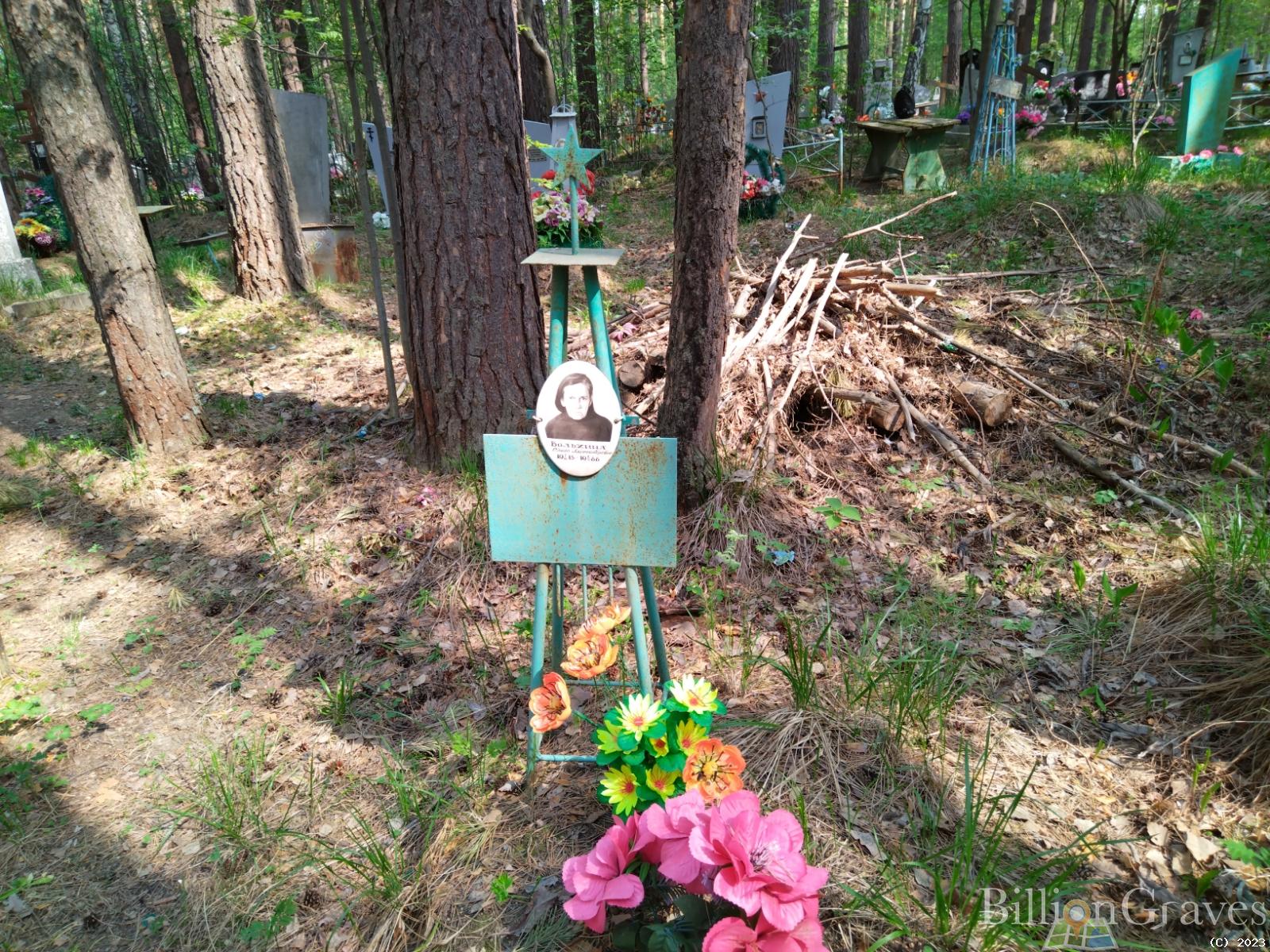 Вольхина Ольга Александровна
