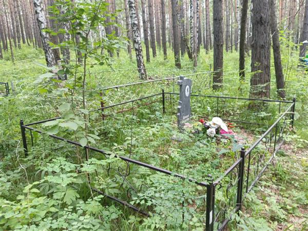 Черенёва Елена Арсентьевна