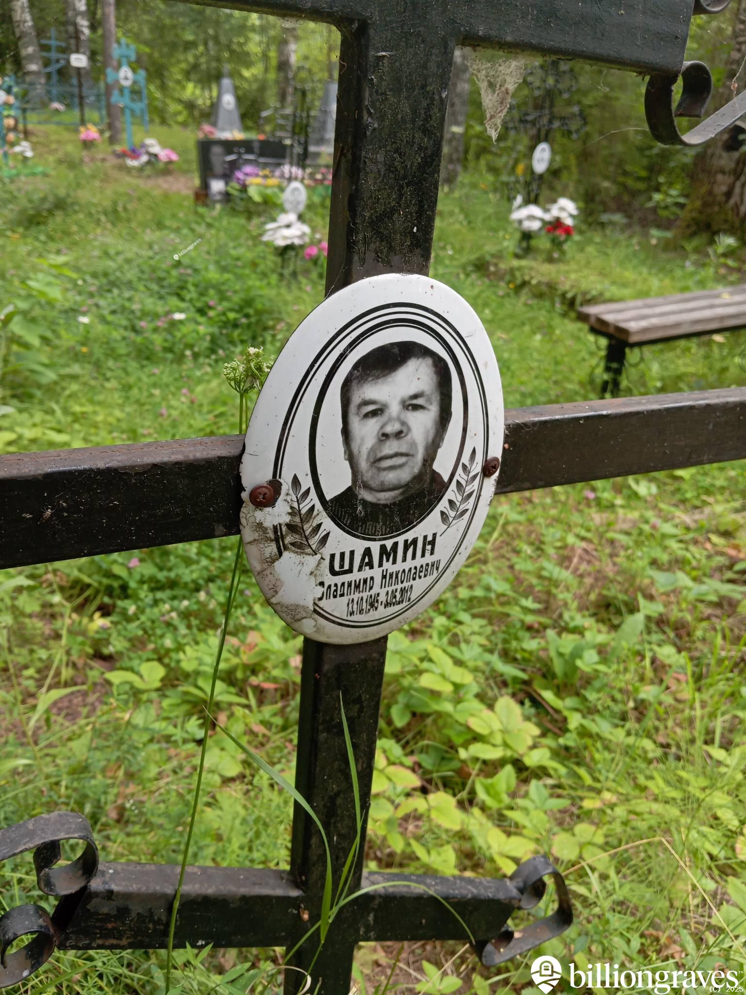 Шамин Владимир Николаевич